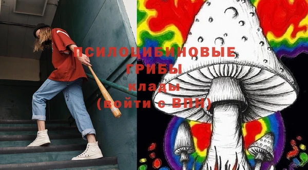 mdpv Бородино