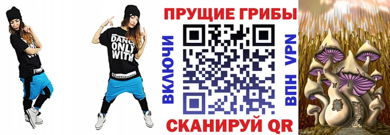 Галлюциногенные грибы GOLDEN TEACHER Купить Михайлов