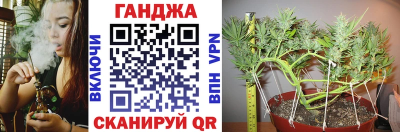 Шишки марихуана сатива  Купить  Михайлов 